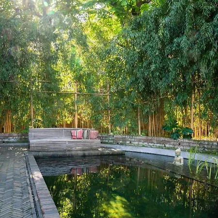 Hotel Cabosse, Boutique Palace &